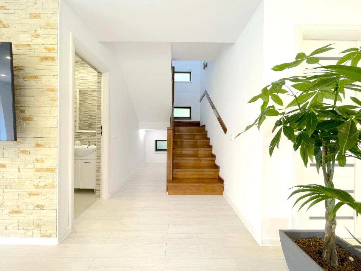Vila Rolizo Brasov Ngoại thất bức ảnh