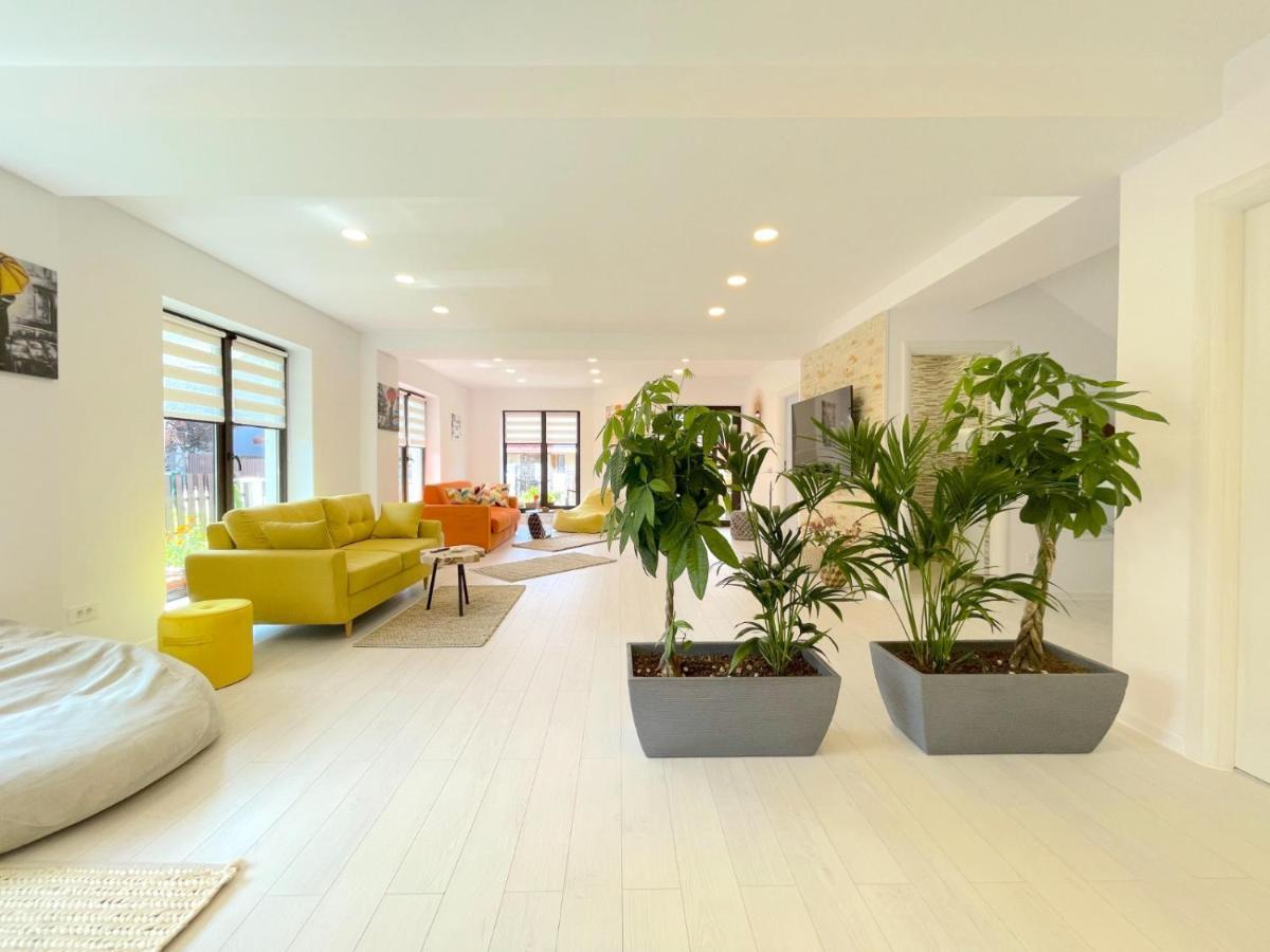 Vila Rolizo Brasov Ngoại thất bức ảnh